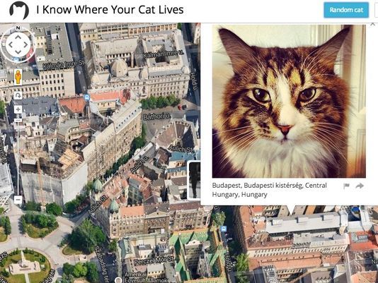 I know where cats live